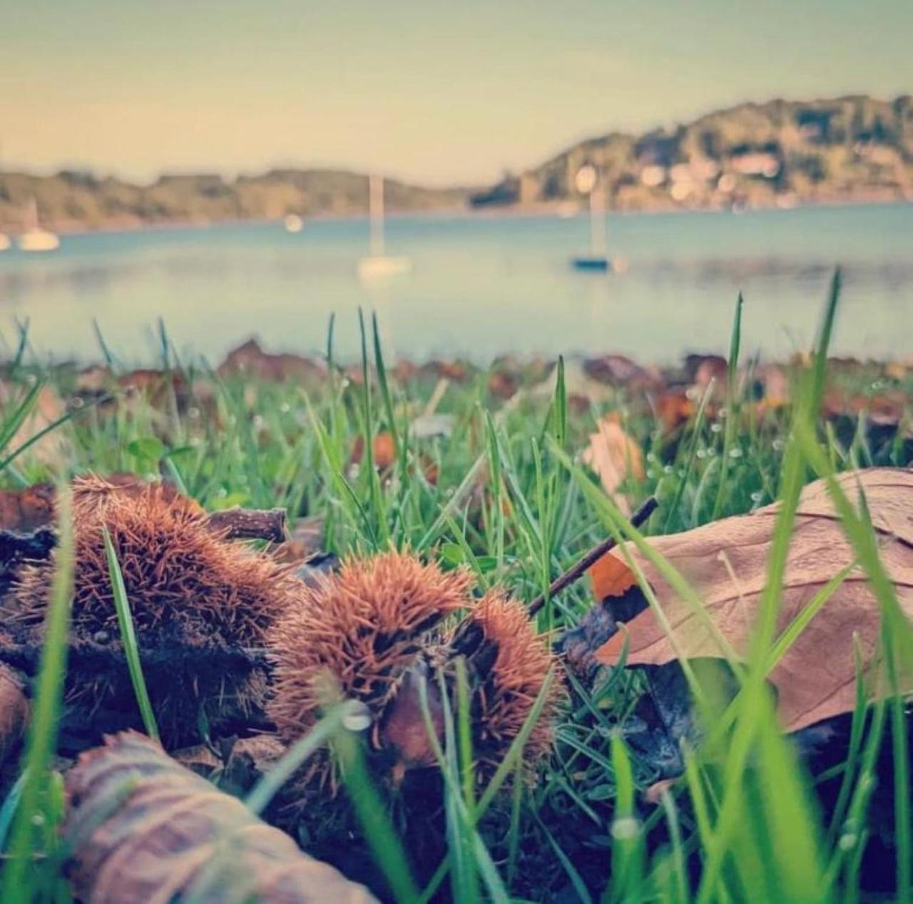 Studio Au Bord Du Lac D'Eguzon Εξωτερικό φωτογραφία